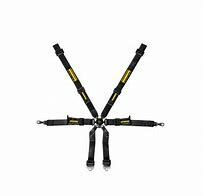 Schroth Profi Porsche 2X2 Harness Hans (Indent)