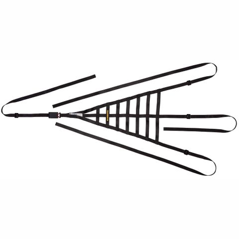 Schroth race driver window net