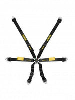 Schroth Enduro 2X2 Harness