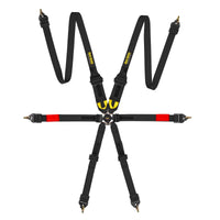 Race Safety Accessories ProLite 6 Point Endurance Harness