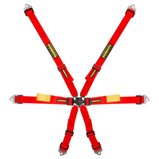 Schroth 6 point enduro harness endurance