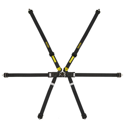 Race Safety Accessories Pro 6 Point Harness