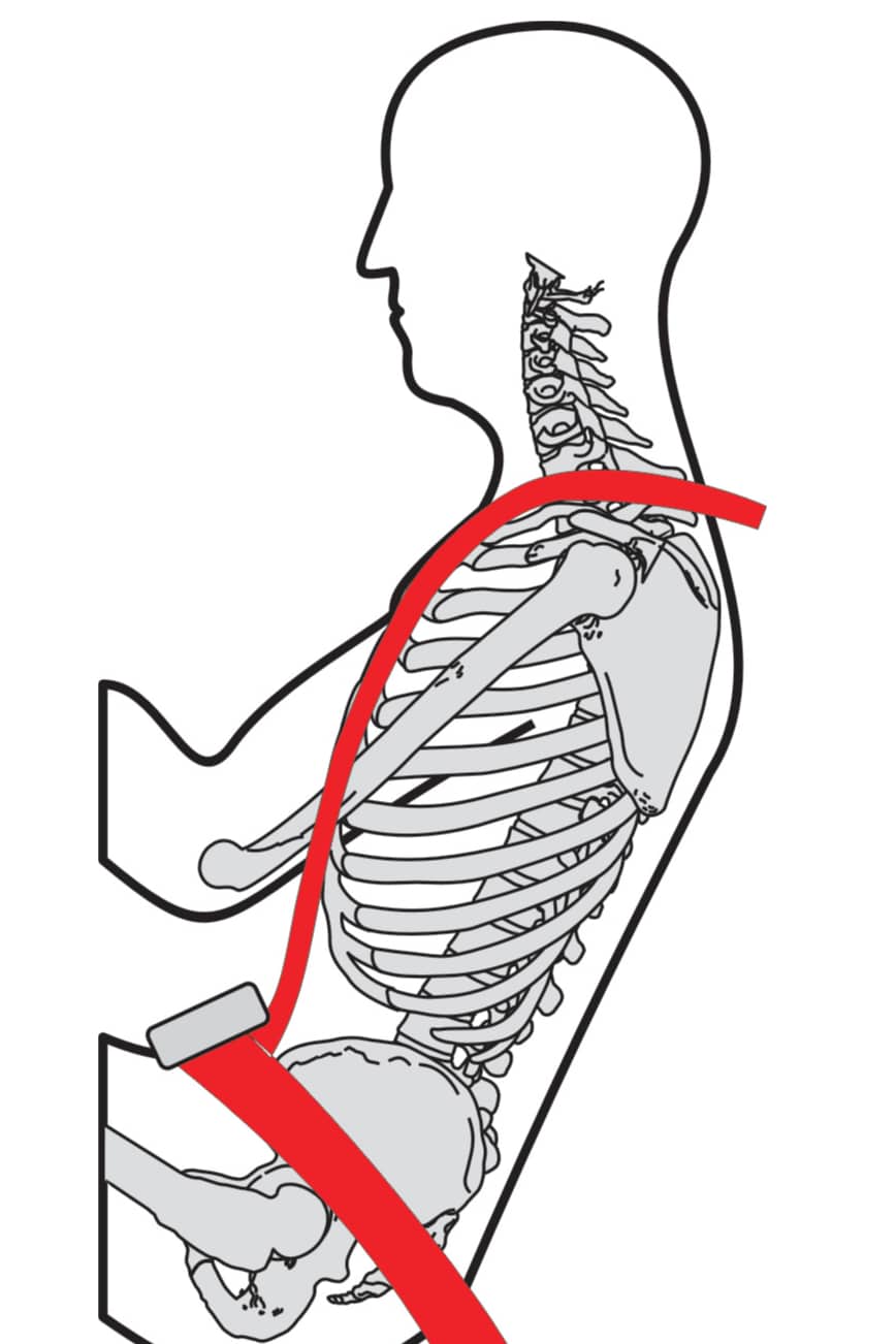 Schroth 6-point harness