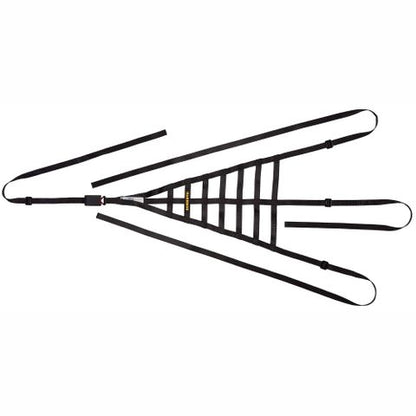 Schroth race driver window net