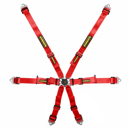 Schroth Flex Belt 2x2 FIA Harness