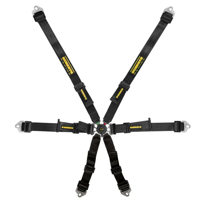Schroth Profi 2X2 Harness Hans