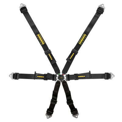 Schroth Profi 2X2 Harness Hans