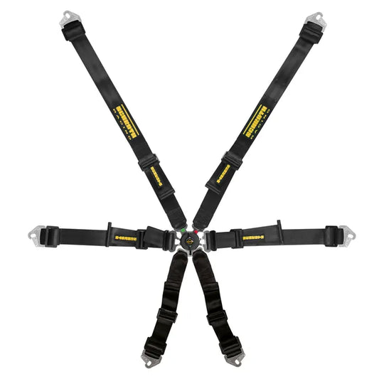 Schroth Profi 2X2 Harness Hans