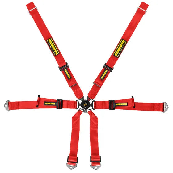 Red Schroth Porsche harness