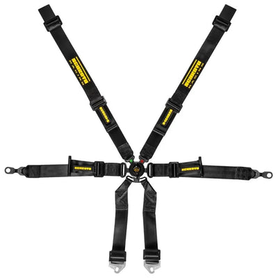 Schroth Porsche 2x2 Harness (indent)