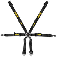 Schroth Porsche 2x2 Harness (indent)